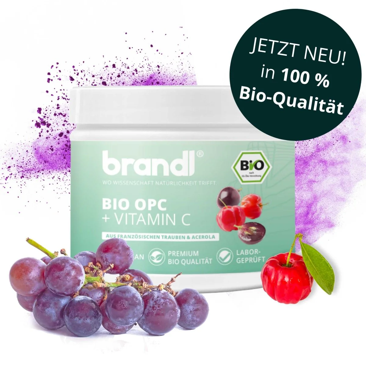 Brandl OPC + Witamina C (wysokodawkowane OPC z ekstraktu z nasion winogron) 120 kapsułek