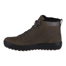 ECCO Buty zimowe Soft 7 Tred Mid-Cut GTX (skóra, wodoodporne) ciemnozielony/tarmac męskie