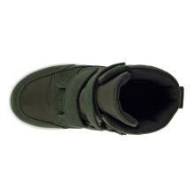 Ecco Zimowe Buty Urban Snowboarder Mid-Cut GTX (wodoodporne, zamsz, tekstylia) khaki zielony Dzieci