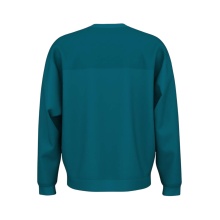 Sweter Head Pullover Rally Crewneck (mieszanka materiałów) zielono-niebieski męski