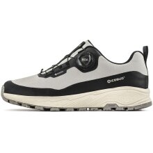 Buty do biegania Icebug Trail Haze M z systemem sznurowania BOA RB9X GTX (wodoodporne) clay/jasnoszary męskie