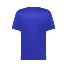 Koszulka turystyczna Jack Wolfskin Peak Graphic T (oddychająca, szybko schnąca) niebieska męska