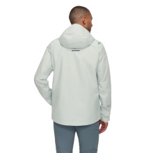 Kurtka trekkingowa Mammut Hardshell Treeline HS z kapturem (2-warstwowa, wodoodporna, wiatroszczelna) srebrno-szara męska