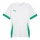 Koszulka sportowa Puma teamGOAL Matchday Jersey biała/zielona męska