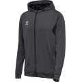 hummel Sportowa kurtka z kapturem hmlAUTHENTIC PL Zip Hoodie (100% rec. poliester) asfaltowy szary Mężczyźni