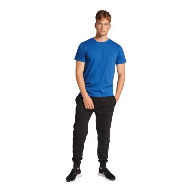 hummel T-shirt Freizeit hmlRED Basic (bawełna) Krótki rękaw niebieski Mężczyźni