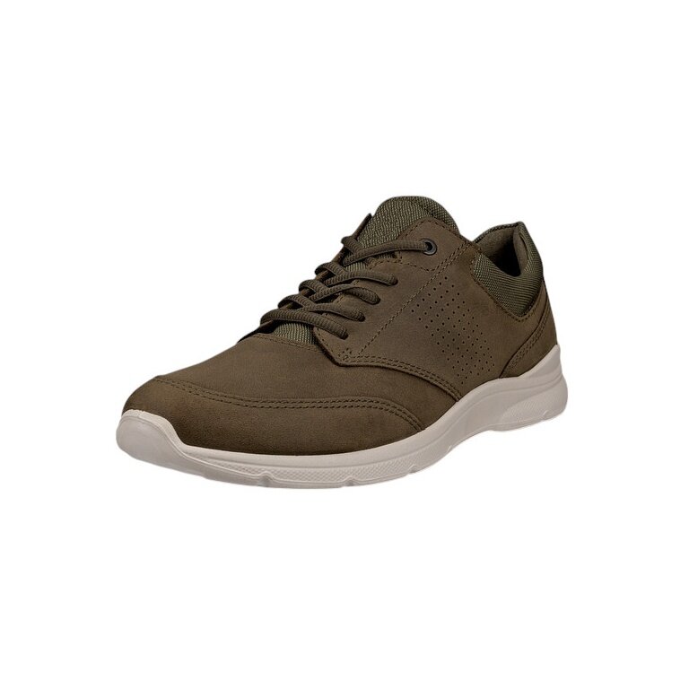 ECCO Sneaker Irving Low Lace (skóra licowa) brązowy mężczyźni