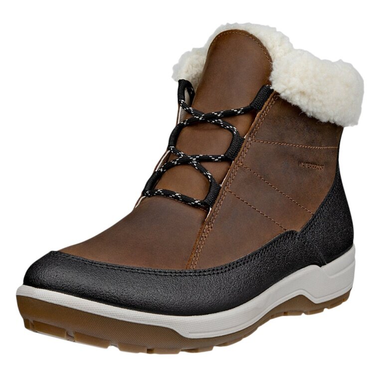 ECCO Botki Trace Lite (skóra nubukowa, wodoodporne) brązowo/czarne damskie