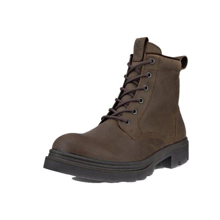 ECCO Zimowe botki Grainer 6IN Boot Ciepłe (Ecco-skóra, wodoodporna i ciepła) ciemny brąz Damskie