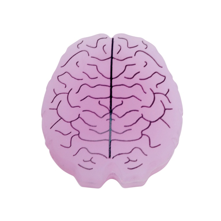 Gamma Tłumik drgań Mózg pojedynczy