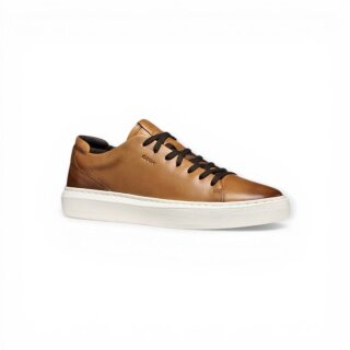 Geox Sneaker Deiven (skóra gładka) 2026 brązowy męski