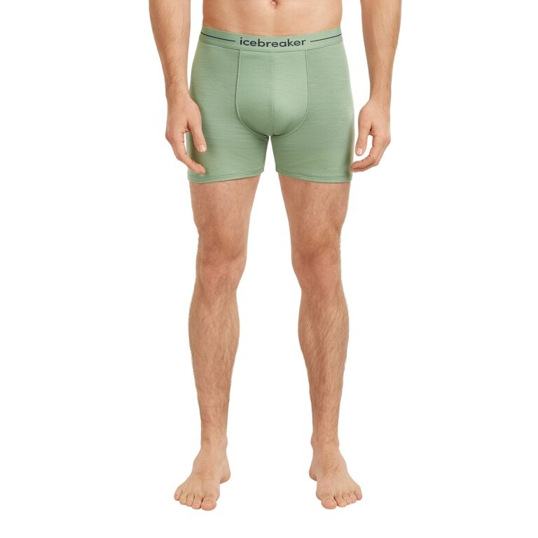 Bokserki Icebreaker Anatomica (wełna merino) bielizna morska zielona męska