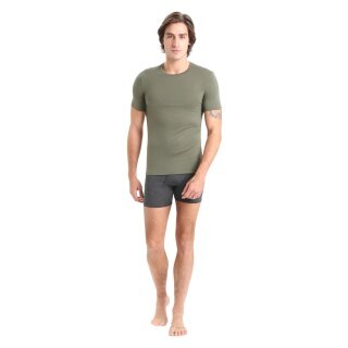 Icebreaker bielizna T-shirt Anatomica SS Crewe (wełna merino) lodowy zielony mężczyźni