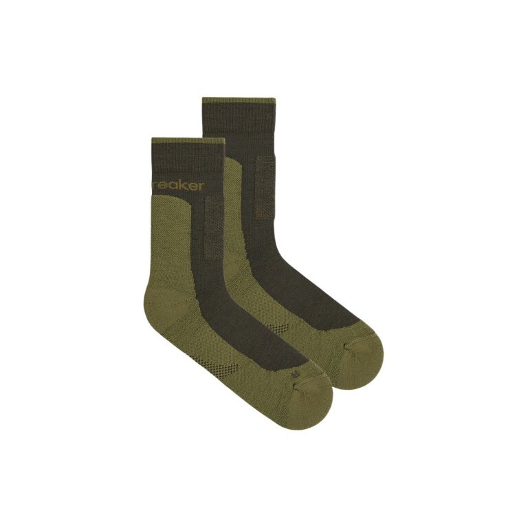 Skarpety wędrowne Icebreaker Wandersocke Crew Hike+ Medium (wełna merino, wytrzymałe, lekkie) moss green męskie