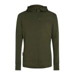 Kurtka z kapturem Icebreaker Merino 260 Quantum IV Zip-Hoodie (100% wełna merino) zielona męska