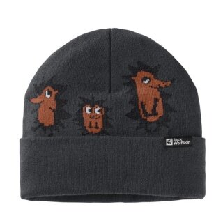 Jack Wolfskin Czapka (Beanie) Gleely - szary fantomowy Dziecięcy