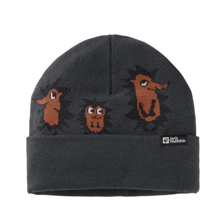 Jack Wolfskin Czapka (Beanie) Gleely - szary fantomowy Dziecięcy