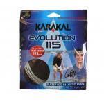 Karakal Squashowa Sznur Evolution 115 srebrny 10m Zestaw