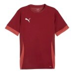 Koszulka sportowa Puma teamGOAL Matchday w kolorze bordowym dla mężczyzn