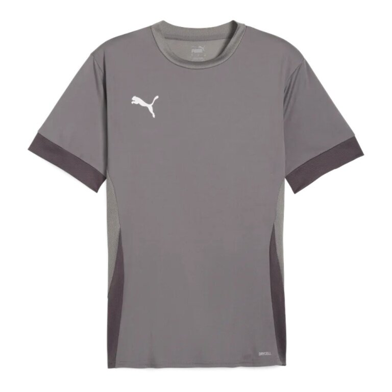 Koszulka sportowa Puma teamGOAL Matchday szara męska