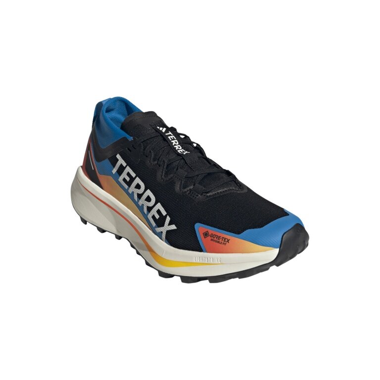 adidas Buty do biegania w terenie Terrex Agravic GTX (wodoodporne) czarne/kolorowe męskie