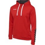 hummel Sportowa bluza z kapturem hmlAUTHENTIC Poly Hoodie (dzianina poliestrowa) z kapturem czerwony Mężczyźni