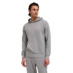 hummel Bluza z kapturem hmlPULSE Sweat Hoodie (Bawełna, wygodny krój) szary Mężczyźni