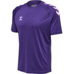 hummel Koszulka sportowa hmlCORE XK Core Poly (materiał interlock) Krótki rękaw fioletowy Mężczyźni