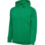 hummel Bluza z kapturem Basic hmlRED Classic Hoodie (Bawełna) zielona Mężczyźni